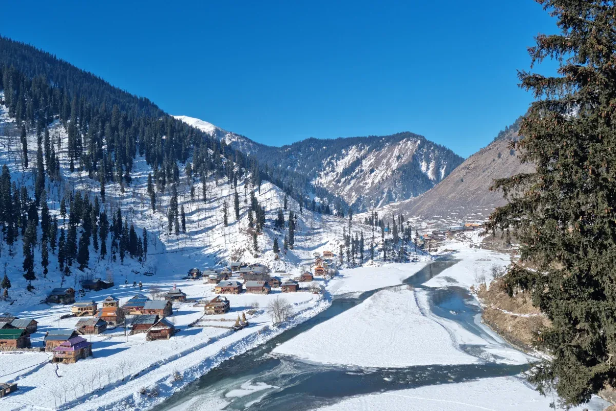 Sonamarg Meadows